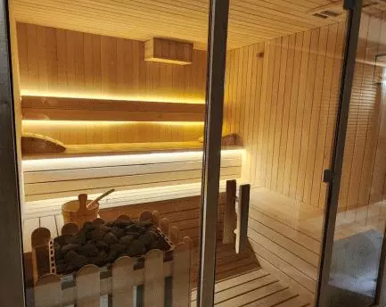 سونا خشک هتل رزیدنس گودائوری هیلز